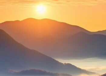 5 self-care practices during seasonal changes visu …
                              
                              Published by Livemint | 16 Nov 2024