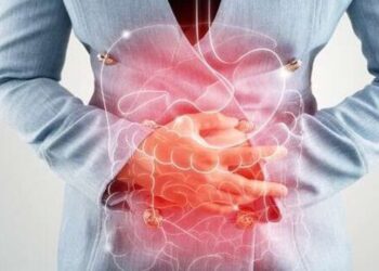 5 remedies for an upset stomach
                              
                              Published by Livemint | 13 Nov 2024