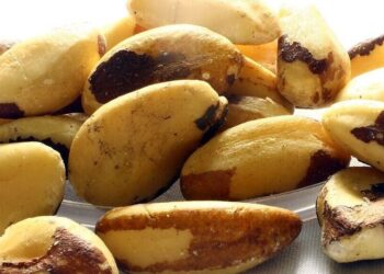 5 potential health benefits of Brazil nuts
                              
                              Published by Livemint | 28 Nov 2024