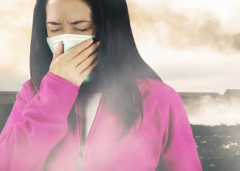 Inhaling Death: Air Pollution kills 8.1 million globally each year
