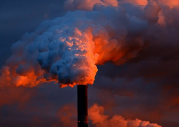 India’s fossil fuel emissions projected to rise 4.6% in 2024: Report