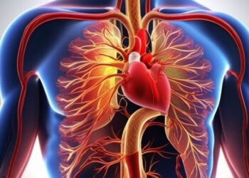 5 natural ways to boost blood flow
                              
                              Published by Livemint | 08 Nov 2024