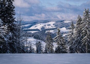 Embrace the Winter Wonderland in These Indian Dest …
                              
                              Published by Livemint | 16 Nov 2024