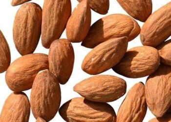 5 benefits of eating almonds daily for weight loss
                              
                              Published by Livemint | 29 Nov 2024