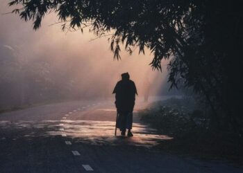 5 ways to incorporate morning walks into your rout …
                              
                              Published by Livemint | 19 Nov 2024