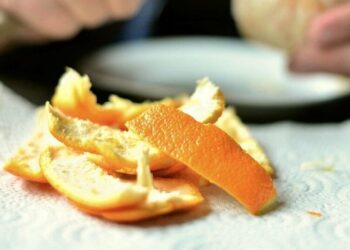 5 easy ways to use orange peels in everyday life
                              
                              Published by Livemint | 20 Nov 2024
