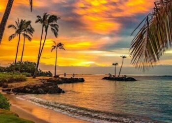 5 beautiful beaches to visit visual story
                              
                              Published by Livemint | 09 Nov 2024