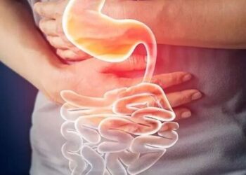 5 natural remedies for digestive issues
                              
                              Published by Livemint | 05 Nov 2024
