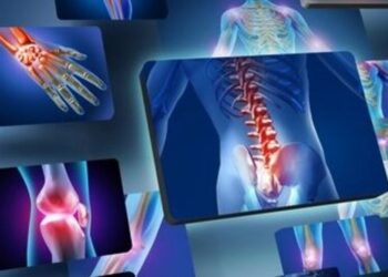 5 ways to prevent osteoporosis through diet
                              
                              Published by Livemint | 03 Nov 2024