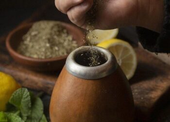5 places where ancient remedies are still used tod …
                              
                              Published by Livemint | 16 Nov 2024
