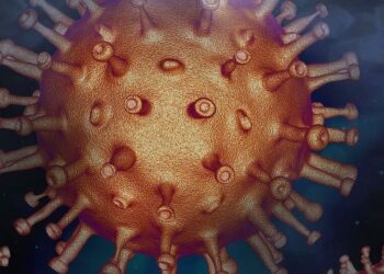5 ways to prevent the spread of bird flu
                              
                              Published by Livemint | 26 Nov 2024