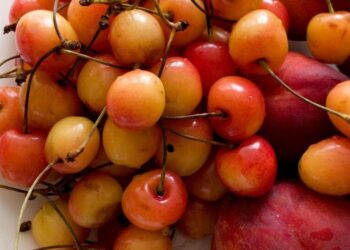 5 one-seed fruits to add to your diet for optimal  …
                              
                              Published by Livemint | 09 Nov 2024