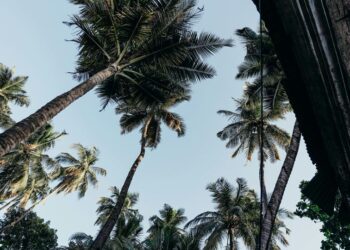 5 must-visit places in Goa
                              
                              Published by Livemint | 09 Nov 2024