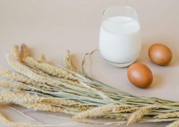 5 best calcium-rich foods
                              
                              Published by Livemint | 13 Nov 2024