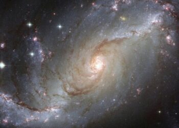 8 of the most captivating galaxies discovered by N …
                              
                              Published by Livemint | 01 Nov 2024