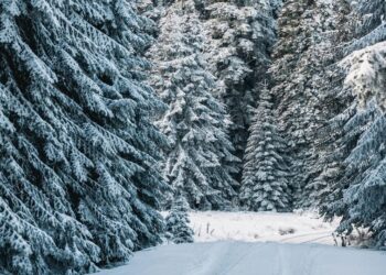 5 tips to stay active in winter
                              
                              Published by Livemint | 02 Nov 2024