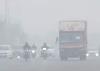 Top 5 polluted cities in India
                              
                              Published by Livemint | 17 Nov 2024