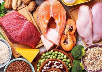 5 high protein snacks for busy days
                              
                              Published by Livemint | 18 Nov 2024