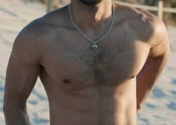 Yearender 2024: Bollywood Actors Who Made Their Hollywood Debut