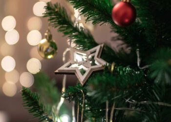 Christmas 2024: Quotes to Share with Loved Ones