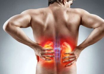 5 best practices to prevent kidney stones from rec …
                              
                              Published by Livemint | 14 Dec 2024