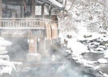 Top 5 hot springs in India
                              
                              Published by Livemint | 25 Dec 2024