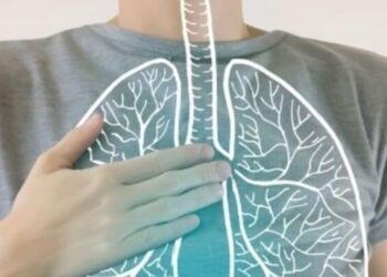 6 superfoods that combat the effects of pollution  …
                              
                              Published by Livemint | 12 Dec 2024