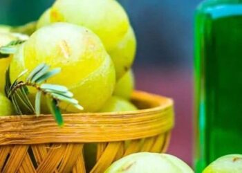 5 DIY recipes to use amla for healthy skin and hai …
                              
                              Published by Livemint | 17 Dec 2024