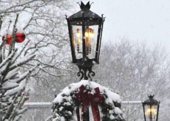 Top 7 global Christmas traditions followed this ye …
                              
                              Published by Livemint | 26 Dec 2024