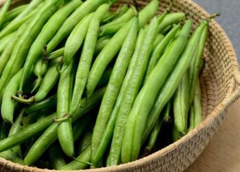 5 health benefits of green beans
                              
                              Published by Livemint | 04 Dec 2024
