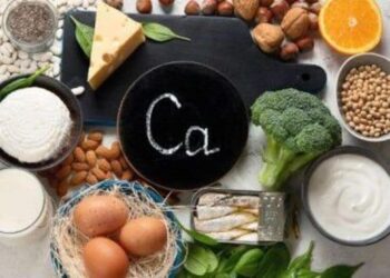 5 high-calcium foods you didn’t know about
                              
                              Published by Livemint | 10 Dec 2024