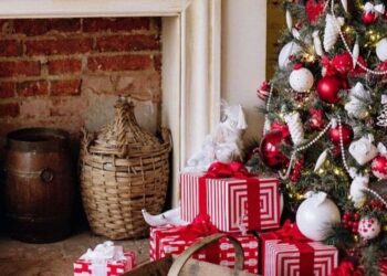 5 creative ways to decorate your home for Christma …
                              
                              Published by Livemint | 22 Dec 2024