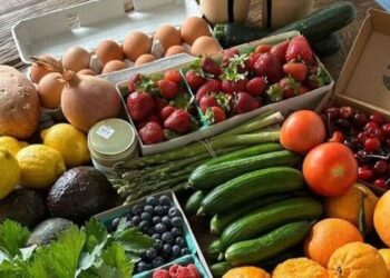 5 Superfoods for fighting hormonal acne
                              
                              Published by Livemint | 07 Dec 2024