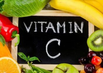 5 winter fruits to add to your diet for vitamin C  …
                              
                              Published by Livemint | 07 Dec 2024