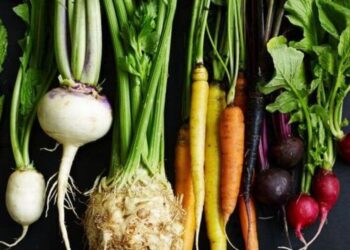 5 root vegetables to include in your winter diet
                              
                              Published by Livemint | 07 Dec 2024