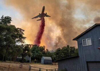 2024: PICTURES OF THE YEAR
                              
                              Published by Livemint | 27 Dec 2024