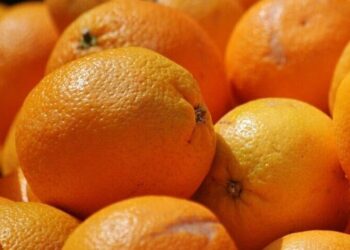 5 Vitamin E foods to boost immunity
                              
                              Published by Livemint | 04 Dec 2024