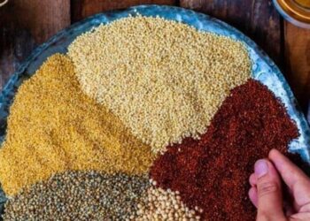 5 delicious millet dishes to try this winter
                              
                              Published by Livemint | 17 Dec 2024