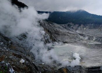 5 animals who can survive in volcano
                              
                              Published by Livemint | 03 Dec 2024