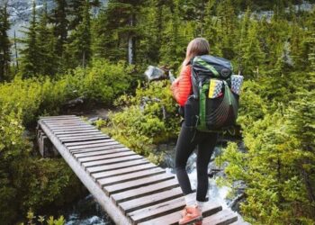 5 best countries for solo travel
                              
                              Published by Livemint | 28 Dec 2024