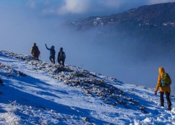 5 best winter treks in India for adventurers
                              
                              Published by Livemint | 19 Dec 2024