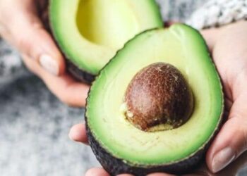 5 reasons to add avocados to your diet today visua …
                              
                              Published by Livemint | 10 Dec 2024