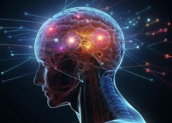 6 surprising foods that help you stay focused and  …
                              
                              Published by Livemint | 12 Dec 2024