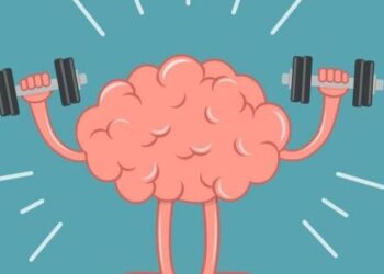 5 foods to keep your mind sharp as you age
                              
                              Published by Livemint | 03 Dec 2024
