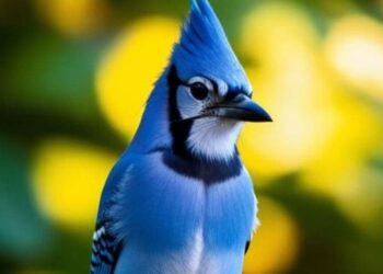 5 birds with extraordinary memory visual story
                              
                              Published by Livemint | 15 Dec 2024