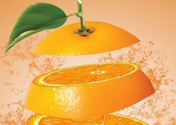 5 reasons why oranges are essential for immune hea …
                              
                              Published by Livemint | 24 Dec 2024