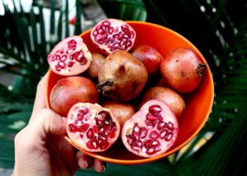 5 health benefits of pomegranate that make it a su …
                              
                              Published by Livemint | 24 Dec 2024