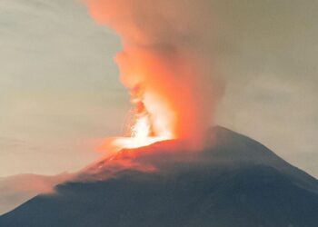 5 bizarre creatures found in active volcano zones
                              
                              Published by Livemint | 13 Dec 2024