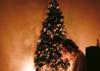 4 Christmas traditions celebrated by French
                              
                              Published by Livemint | 17 Dec 2024