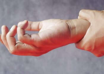 5 superfoods to boost nervous system
                              
                              Published by Livemint | 11 Dec 2024